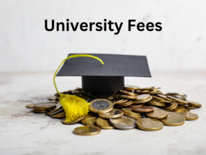 Image of graduation cap on top of coins.